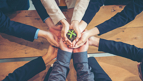 imagen de Criterios ESG en la estrategia de tu empresa para un impacto duradero (ODS)