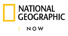 Logo National Geographic Now