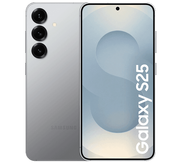 Samsung Galaxy S25 5G 256GB Gris