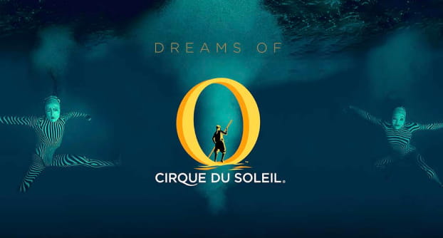 circo del sol