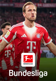 bundesliga