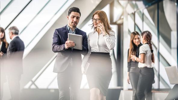 Un empleado analizando datos en una pantallla