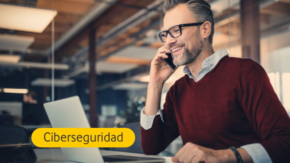 ciberseguridad