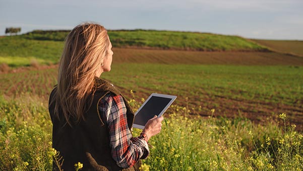 El Gobierno invierte 17,9 millones en 5G rural: cómo aprovechar esta red para tu pyme