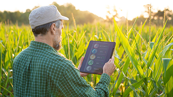 Riego inteligente: Digitalización del ciclo del agua para empresas agrícolas