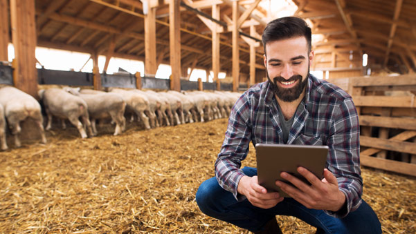 Internet rural de alta velocidad, el motor indispensable para revertir la despoblación