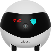 HONOR Choice Pet Robot