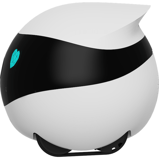 Honor Choice Pet Robot