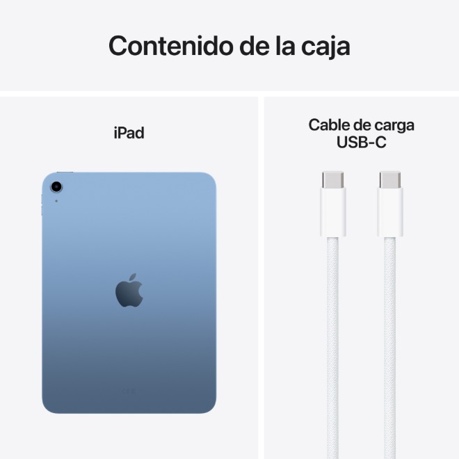 Apple iPad WiFi 256GB